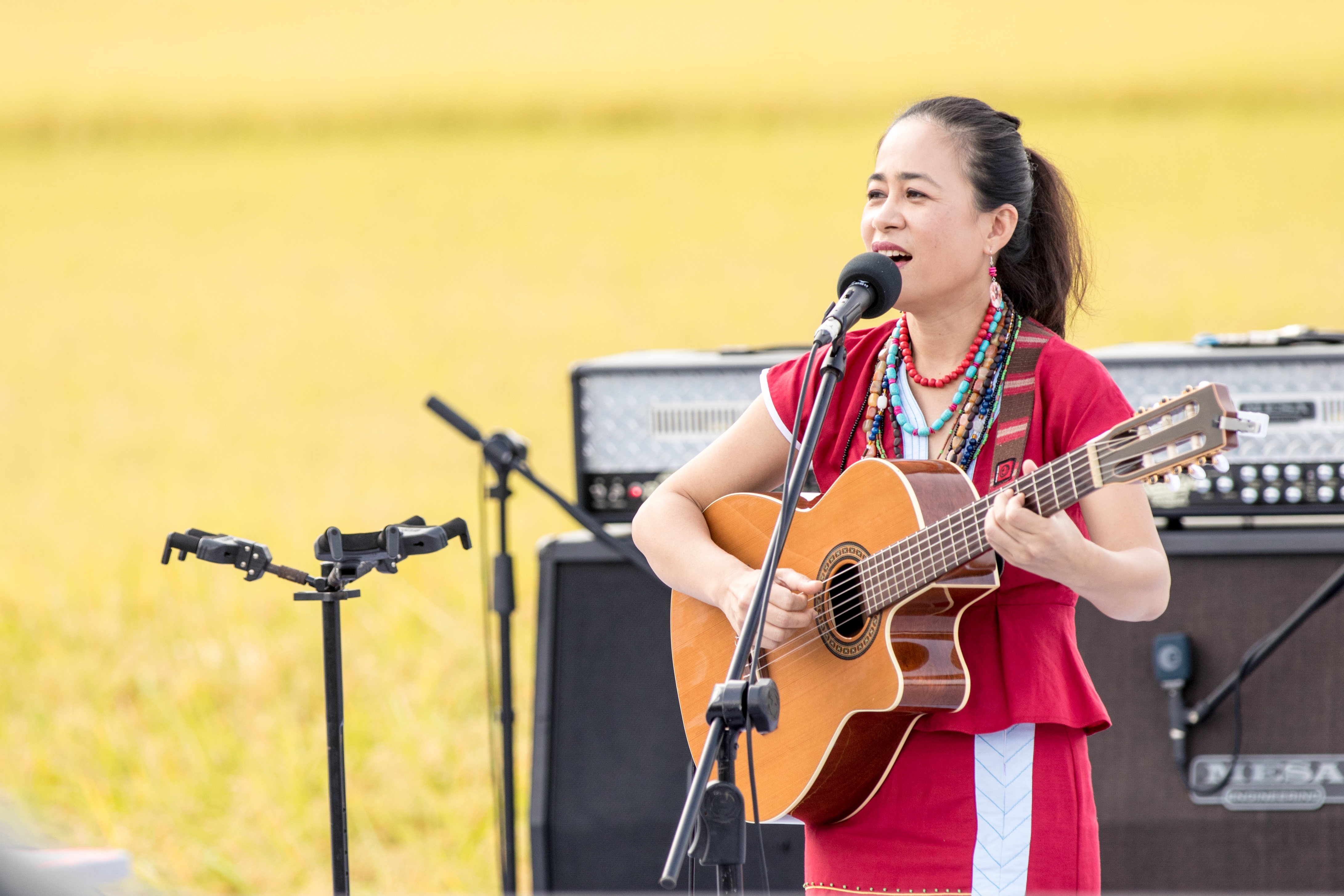 浪漫在稻田與藝術之間，池上人文小旅行提案_img_3