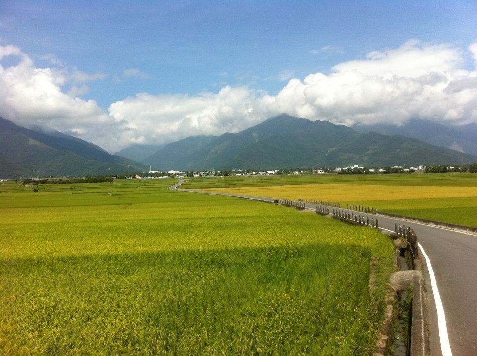 浪漫在稻田與藝術之間，池上人文小旅行提案_img_1