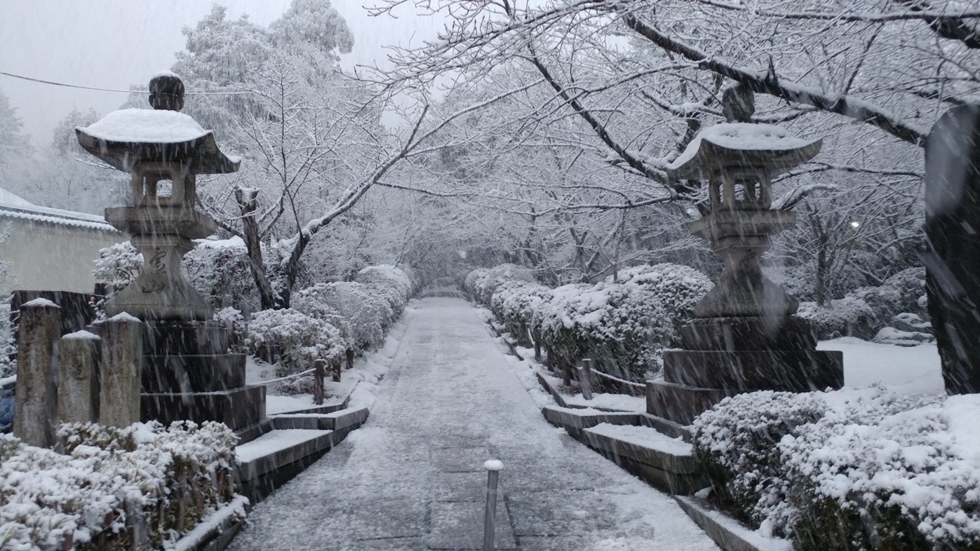【梁旅珠專欄】轉瞬即逝的「雪化粧」，京都賞雪名所_img_7