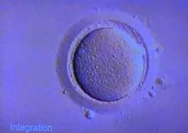 心理師許皓宜的年節指南:面對情緒背後的陰影,和自己團圓_img_1