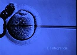 心理師許皓宜的年節指南:面對情緒背後的陰影,和自己團圓_img_2