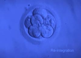 心理師許皓宜的年節指南:面對情緒背後的陰影,和自己團圓_img_3