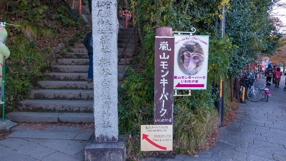 【梁旅珠專欄】看猴子泡溫泉好療癒！日本最紅的觀猴名所_img_2