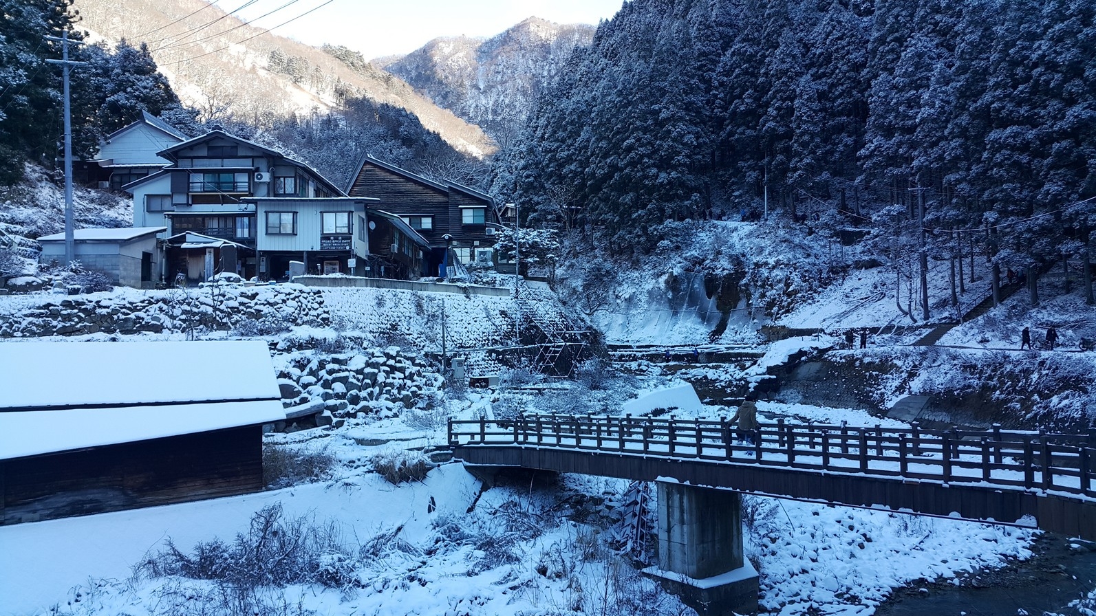 【梁旅珠專欄】看猴子泡溫泉好療癒！日本最紅的觀猴名所_img_6