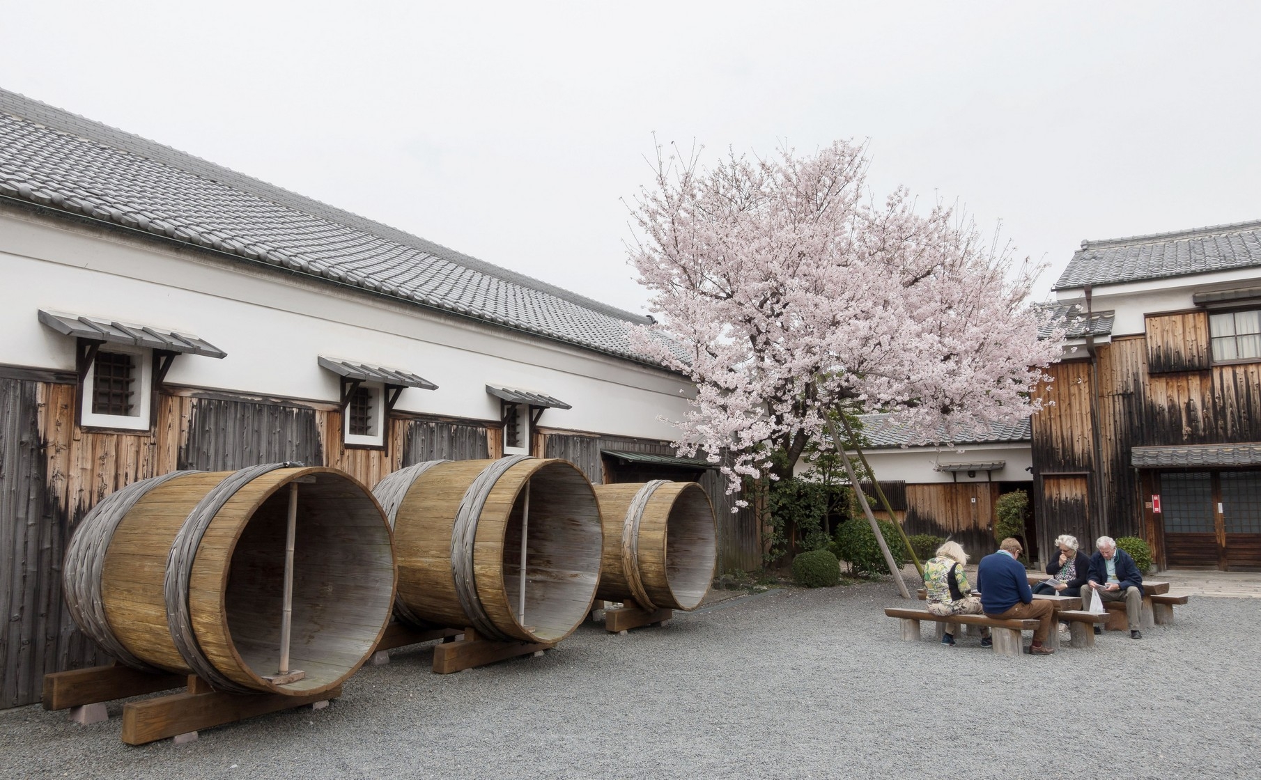 【梁旅珠專欄】彌生三月,避人潮的京都櫻花散步路線推薦_img_13