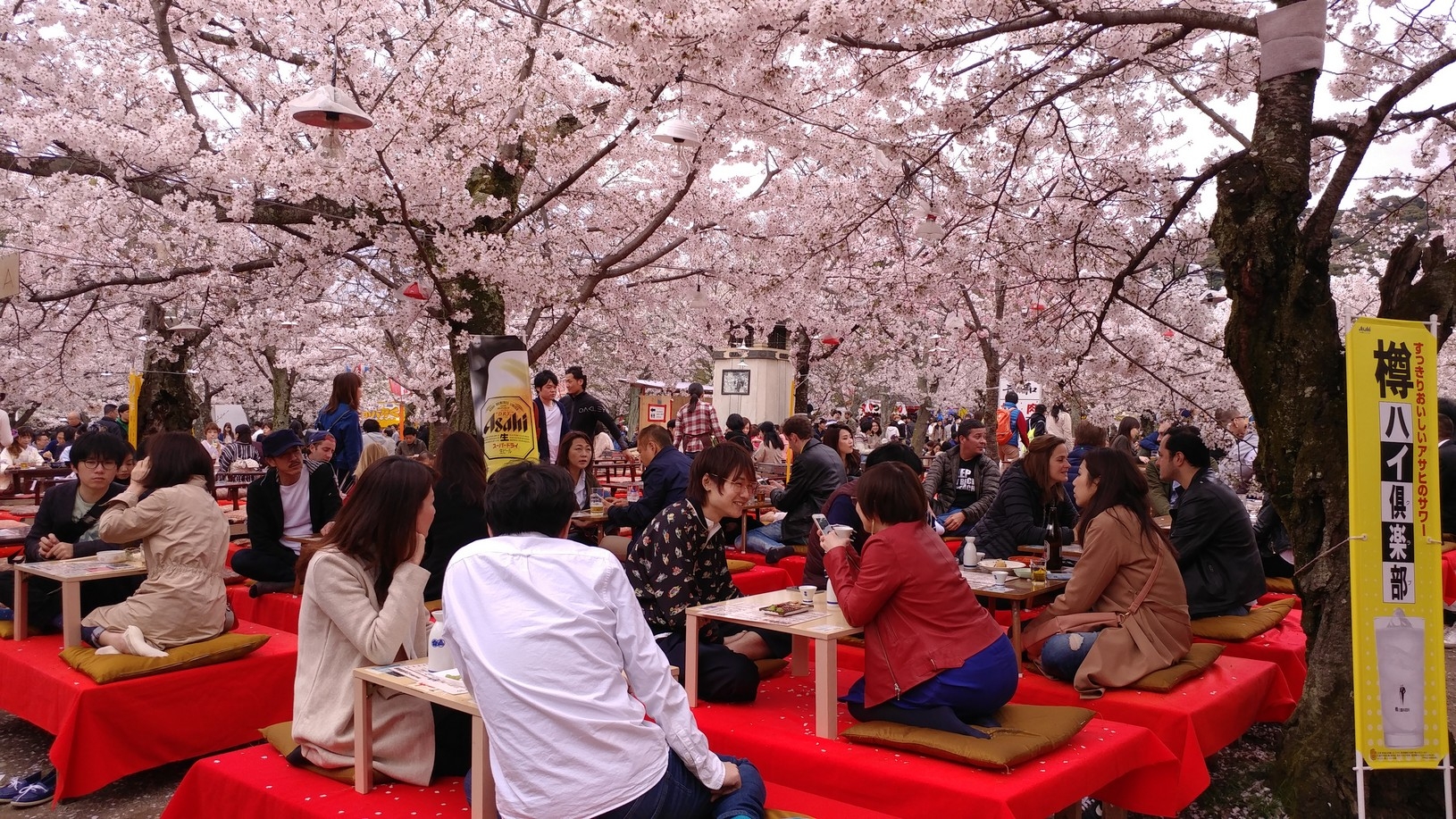 【梁旅珠專欄】彌生三月,避人潮的京都櫻花散步路線推薦_img_19