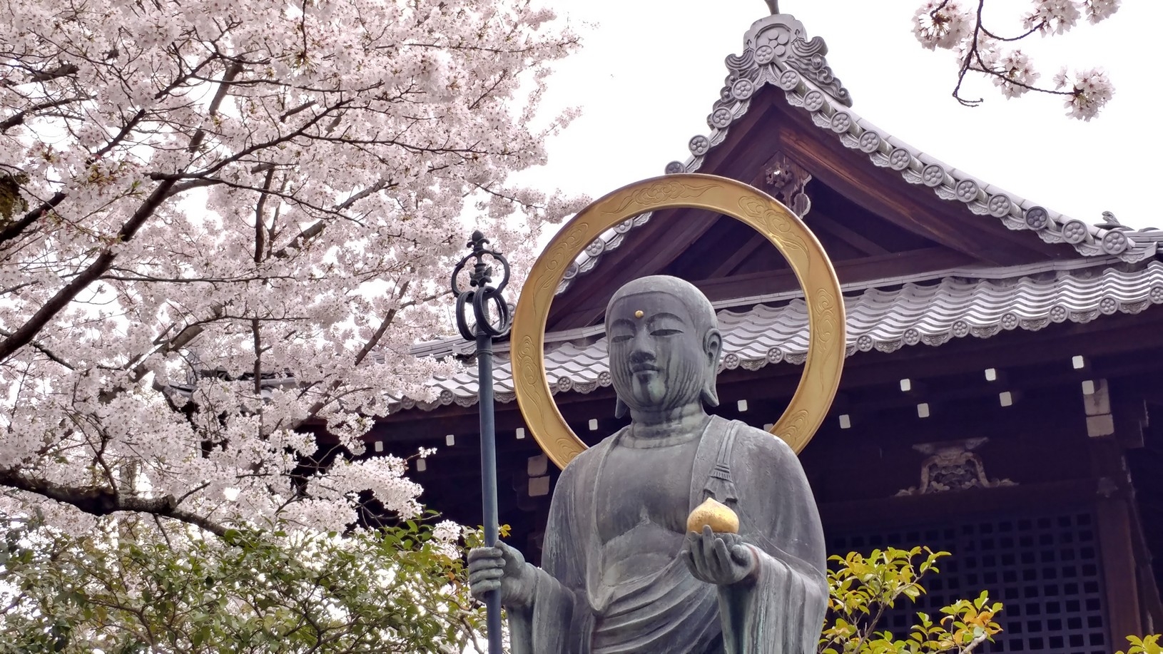 【梁旅珠專欄】彌生三月,避人潮的京都櫻花散步路線推薦_img_20