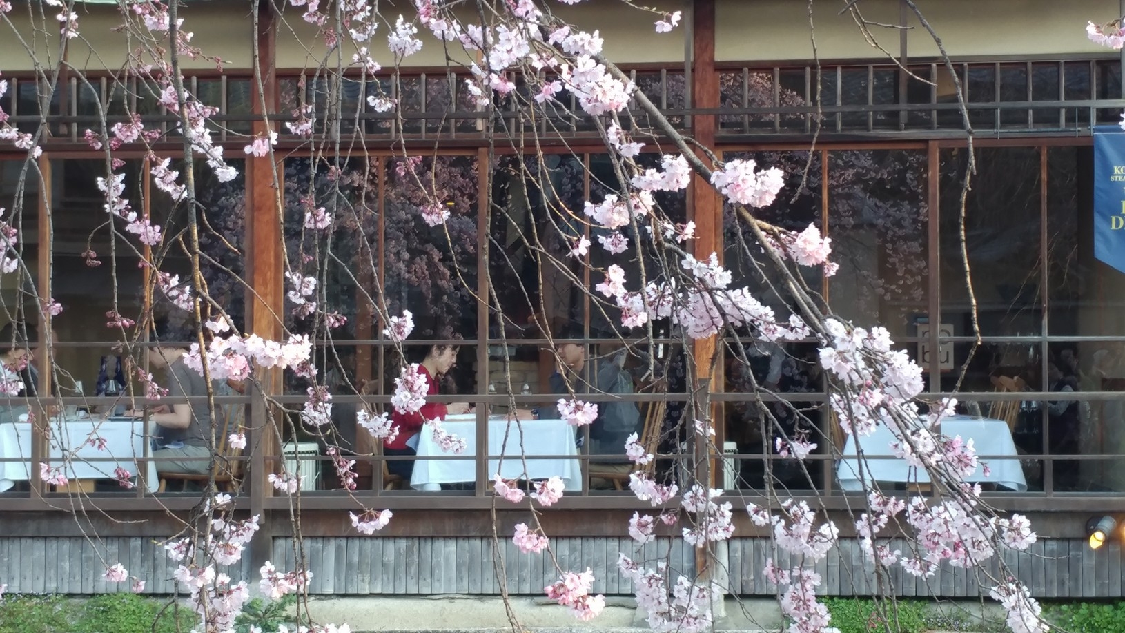 【梁旅珠專欄】彌生三月,避人潮的京都櫻花散步路線推薦_img_21