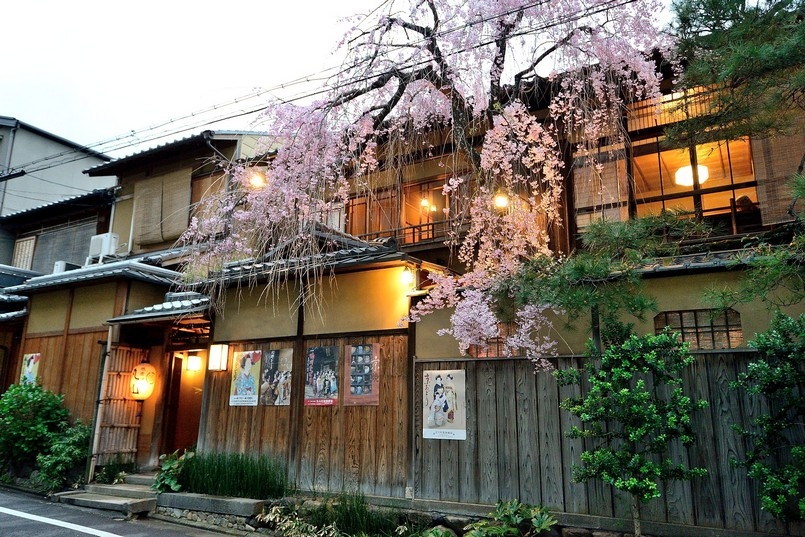 【梁旅珠專欄】彌生三月,避人潮的京都櫻花散步路線推薦_img_22