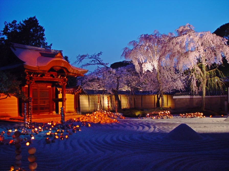 【梁旅珠專欄】彌生三月,避人潮的京都櫻花散步路線推薦_img_23