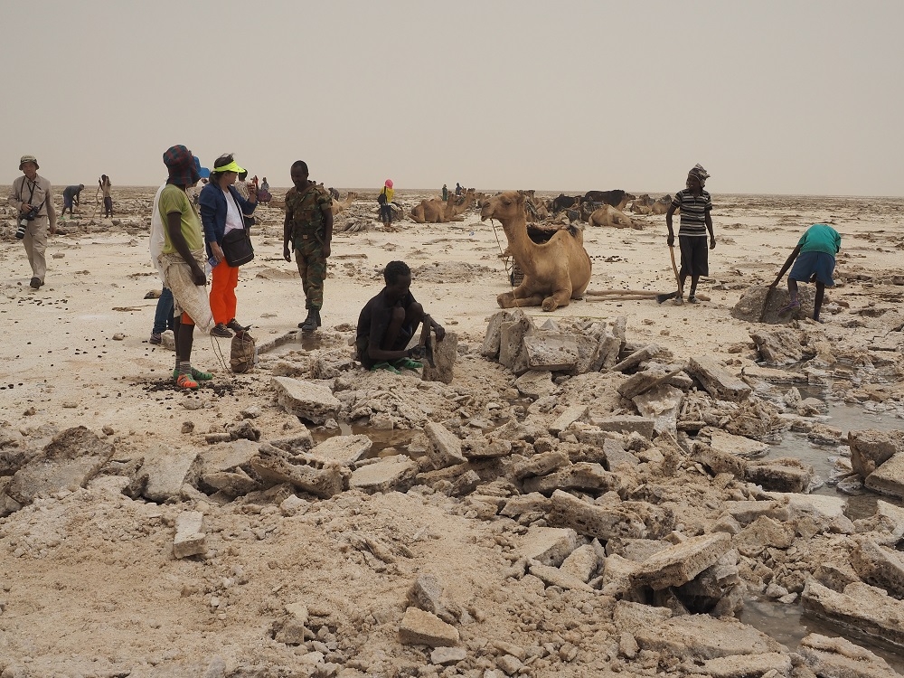 顛覆旅行家陳維滄:70歲後才遠征南北極,OK的!_img_3
