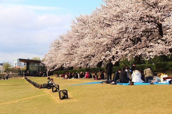 和風美學極致，日本北陸新人氣列車「花嫁暖簾號」之旅_img_4