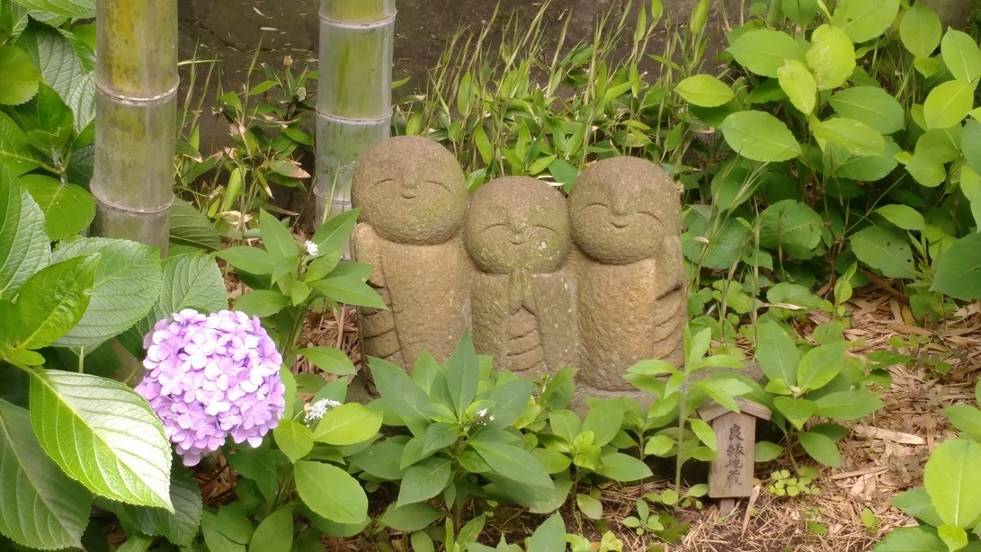 梁旅珠專欄|紫色的夢:古都鎌倉繡球花散步之旅_img_3