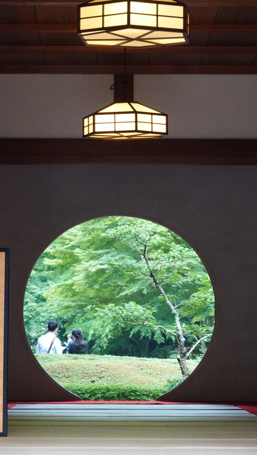 梁旅珠專欄|紫色的夢:古都鎌倉繡球花散步之旅_img_7