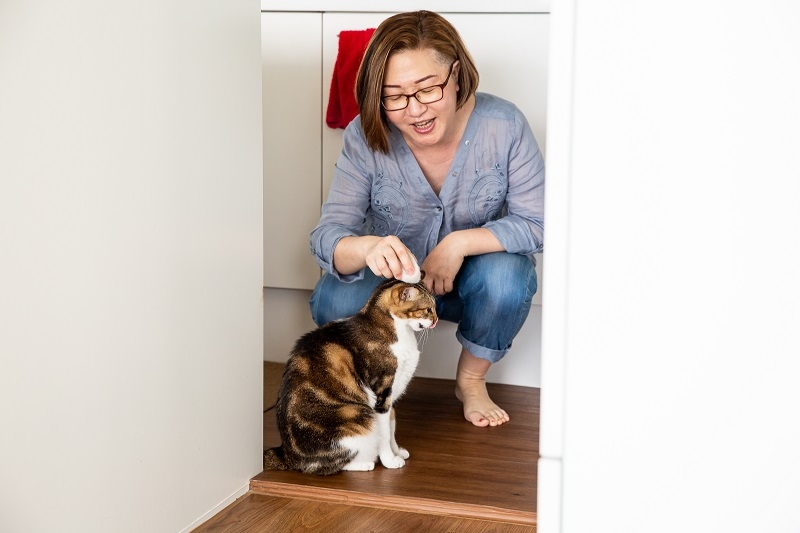 貓與山居歲月 邱錦伶:能被另一個生命依附,是幸福的_img_4