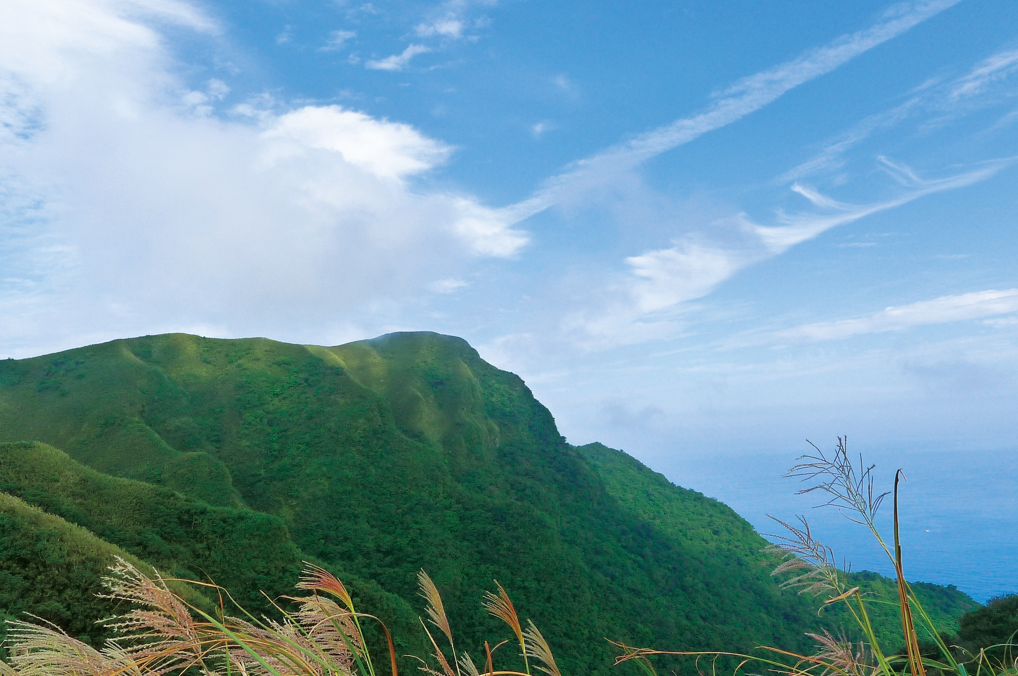 歸零放空的海景草原步道之旅:桃源谷灣坑頭山_img_4