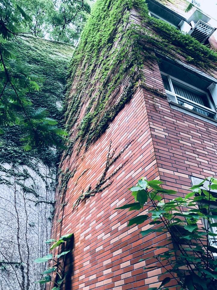 你的年紀其實不是你的年紀? 陳芳明:年老,是一種「創作」_img_3