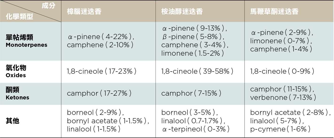 天然、提神又讓髮色亮麗,自製迷迭香保健配方_img_1