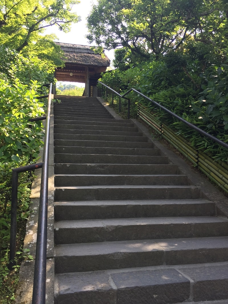 吳佳璇：奔跑吧，婦女！鎌倉東慶寺的心靈一日遊_img_2