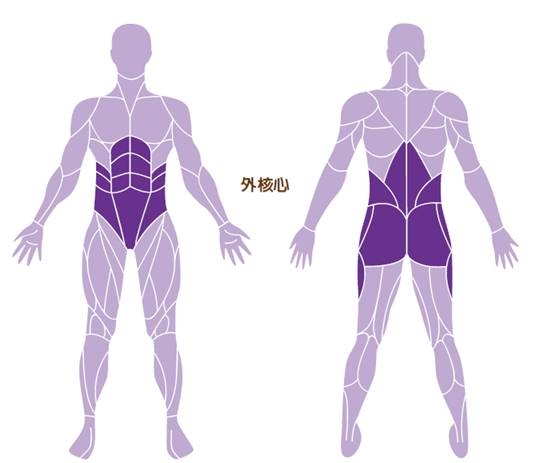 核心肌群怎麼練？復健科醫師：千萬不能仰臥起坐！4個護腰新觀念_img_2