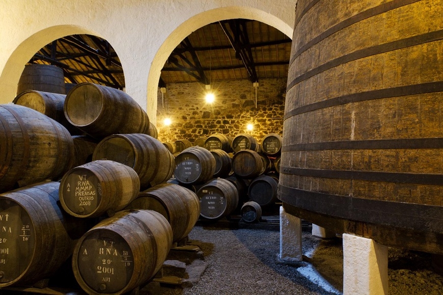 找回心的平靜與更健康的身體  如何規劃一場「健行假期」？_img_3