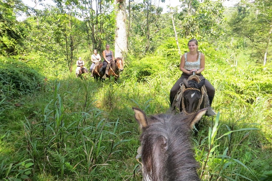 找回心的平靜與更健康的身體  如何規劃一場「健行假期」？_img_5