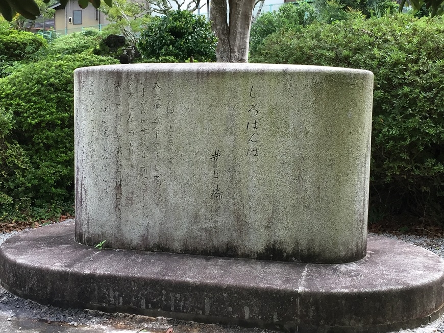 吳佳璇:隔代教養的童年,領我到伊豆作家井上靖故鄉 _img_1