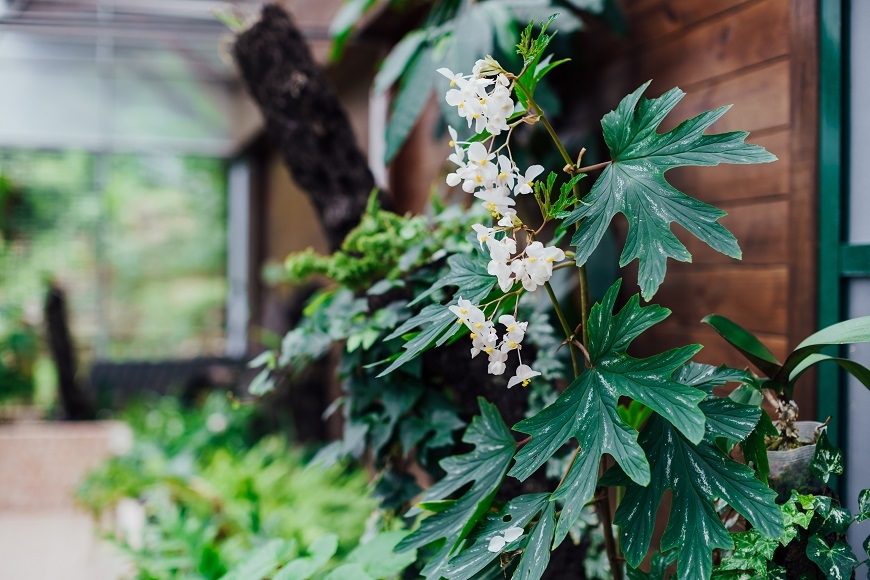 50歲後蓋一間山屋!李家維:心安詳,人間沒有無聊事_img_3