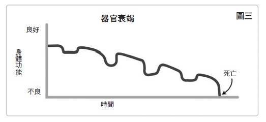 6步驟善終思考,每年都該重新計畫的人生最後一里路_img_3