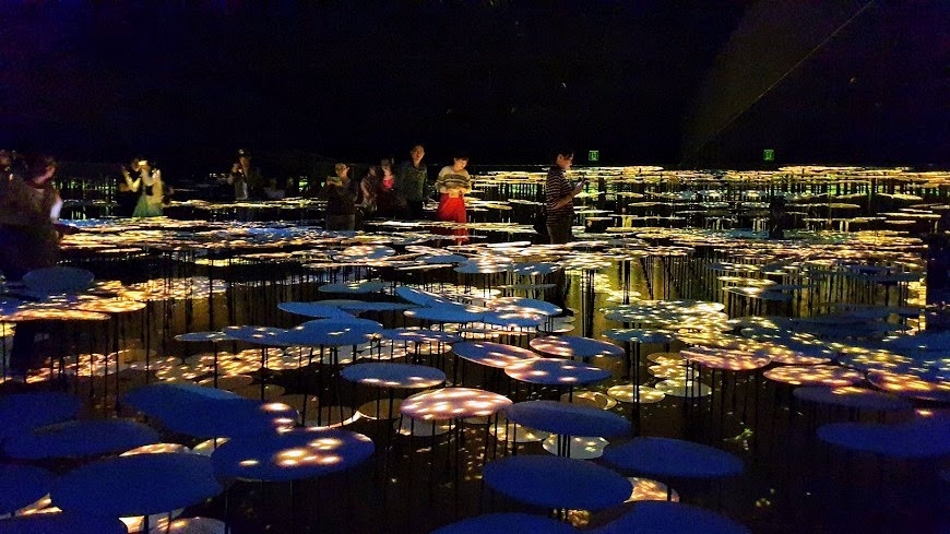 【梁旅珠專欄】熟齡翻新必去！東京網美新景點teamLab無界 _img_5