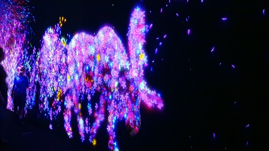 【梁旅珠專欄】熟齡翻新必去！東京網美新景點teamLab無界 _img_10