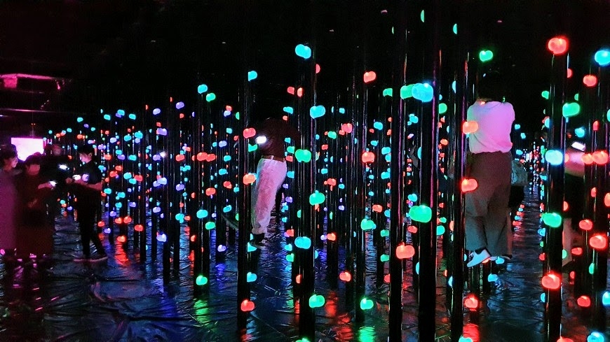 【梁旅珠專欄】熟齡翻新必去！東京網美新景點teamLab無界 _img_12