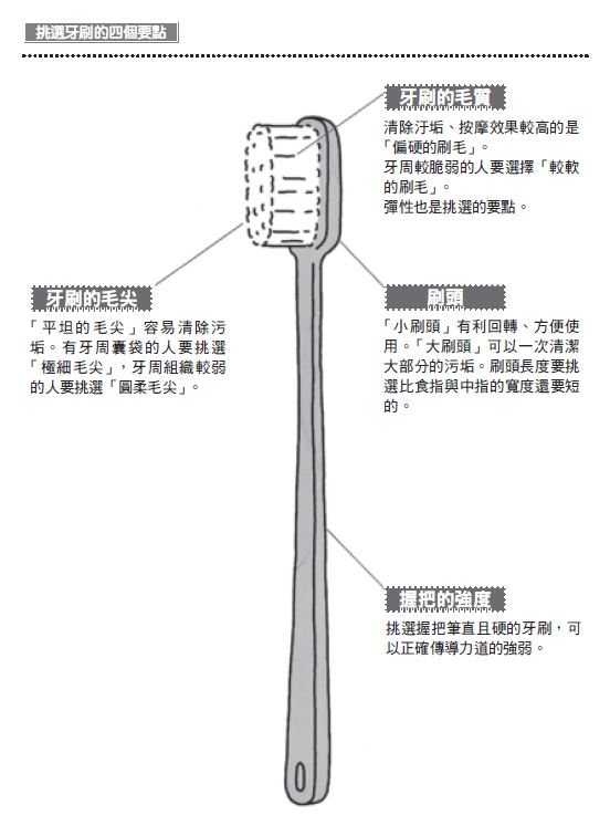 牙周病不只掉牙,還會害你老得快!挑牙刷4要點,選對了嗎?_img_1