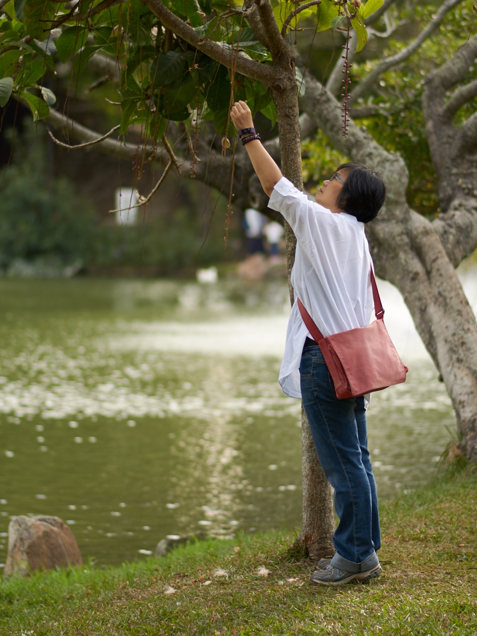 如何讓身體回到「被化學改變前」體質？家中種這些植物，使用它_img_1