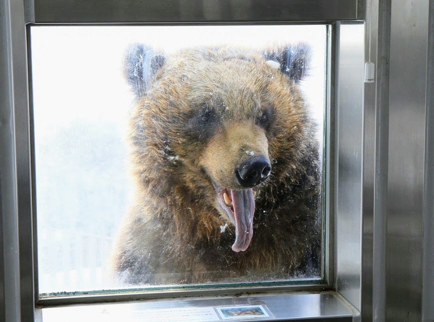 【梁旅珠專欄】入住北海道溫泉名宿 靜賞粉雪飄落的優雅_img_2