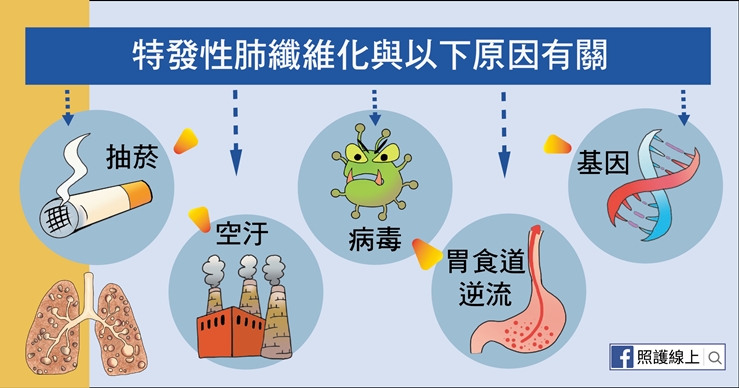 【照護線上】呼吸不順、容易累？50後小心「肺纖維化」上身！_img_4