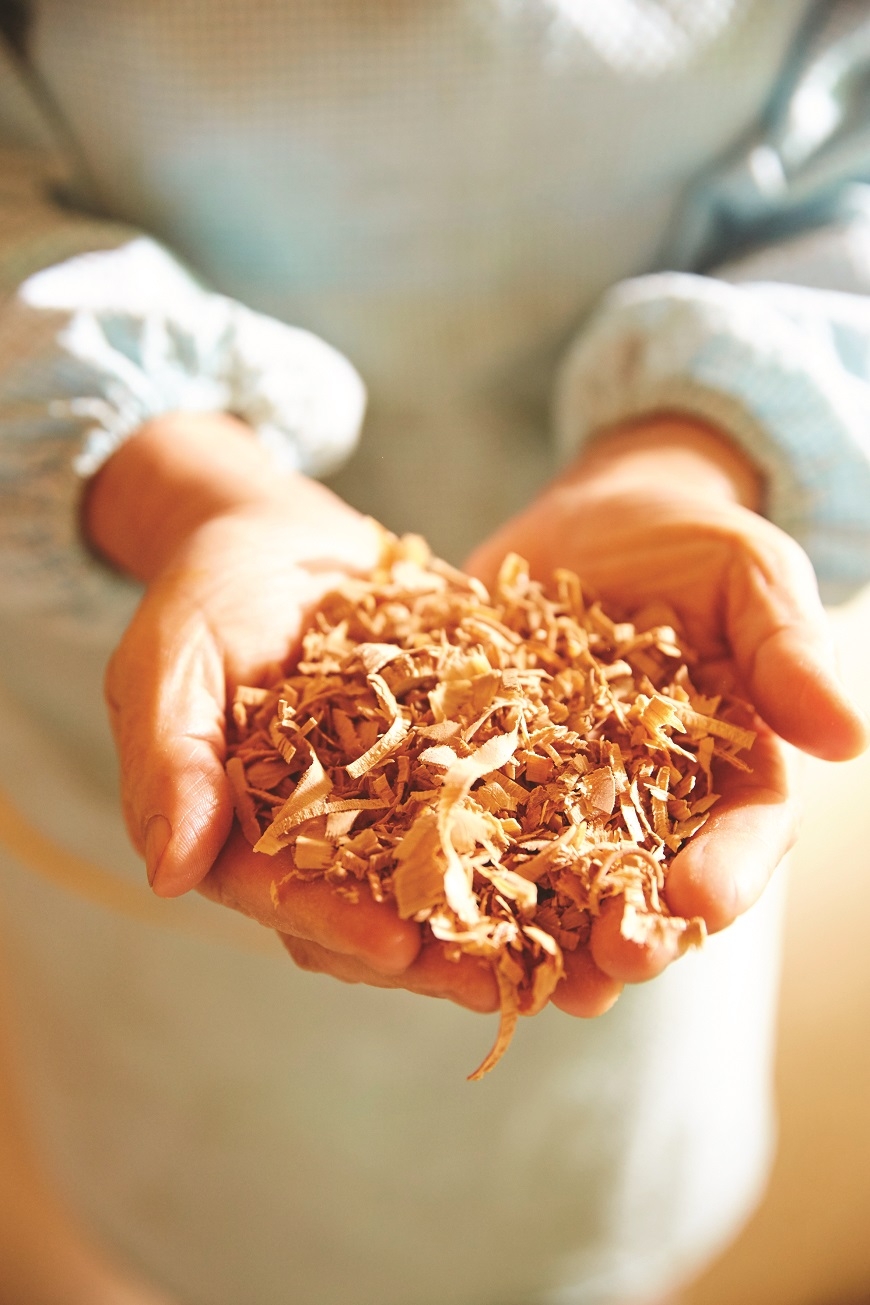 山居歲月不是只有浪漫  8大條件檢視：你適合隱居山林嗎？_img_2