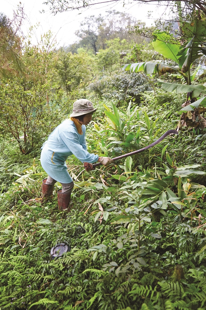山居歲月不是只有浪漫  8大條件檢視：你適合隱居山林嗎？_img_9