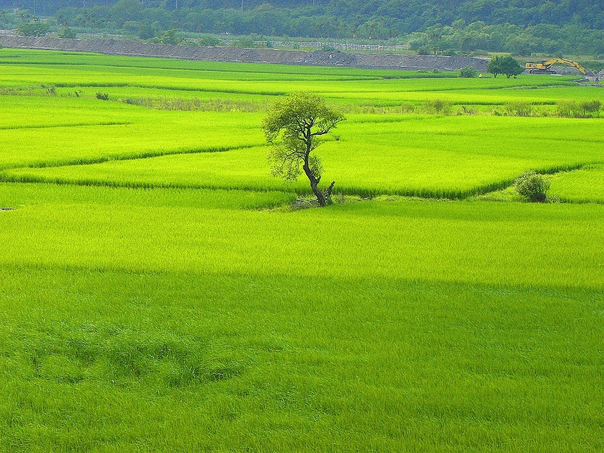 不為人知的地方才有動人風景!58歲林坤茂一人單車環島之旅_img_2