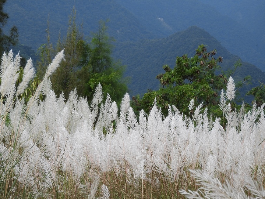 不為人知的地方才有動人風景!58歲林坤茂一人單車環島之旅_img_4
