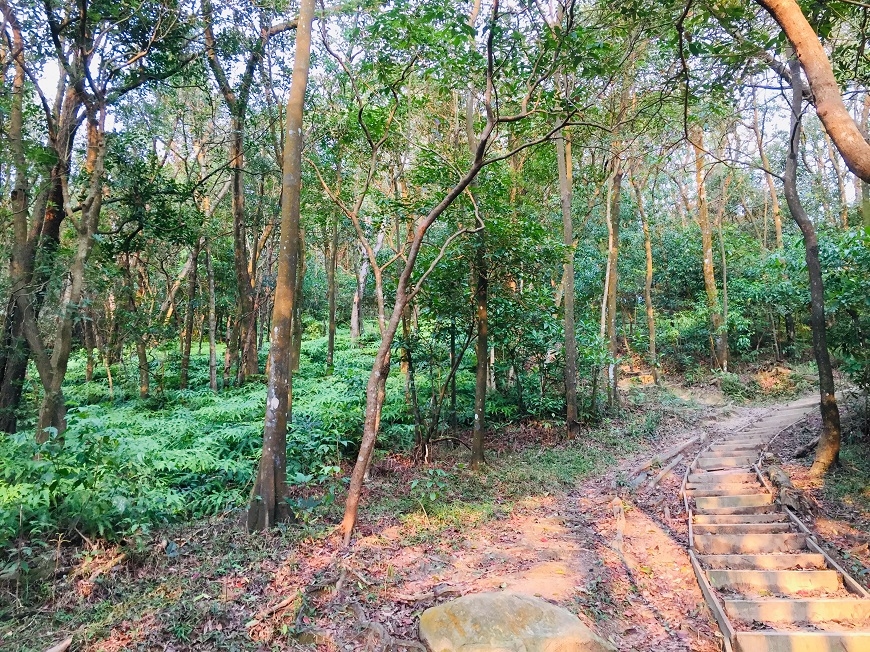 中年徬徨時,去爬山吧!周倩漪:山能驅逐負能量,平靜你的心_img_3