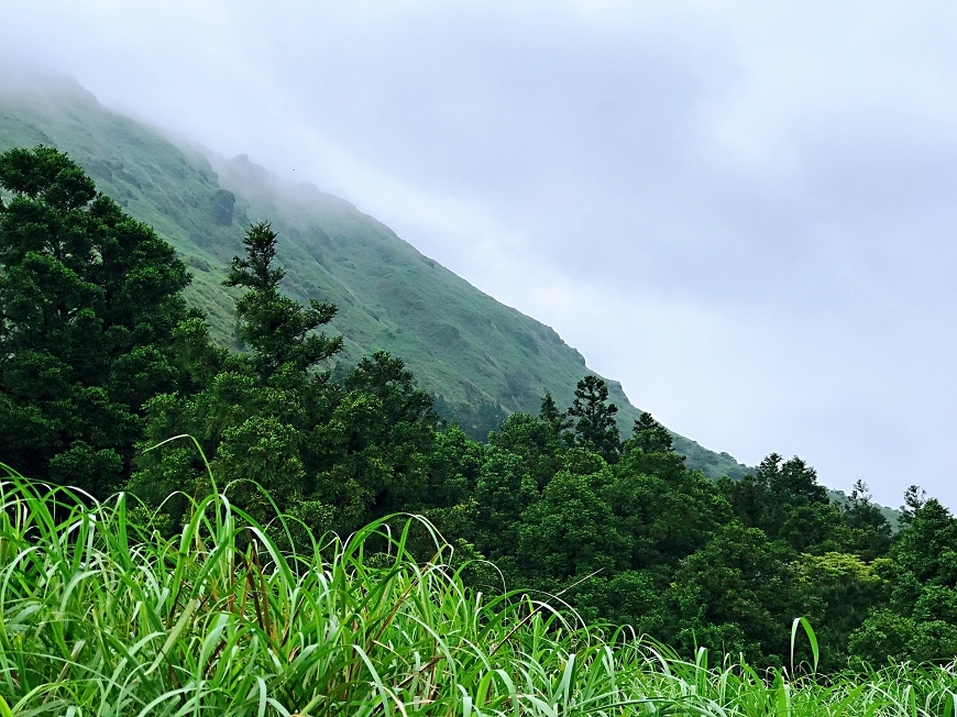 就是喜歡一個人 彭樹君：再愛的人也是別人，最好的伴侶是自己_img_2