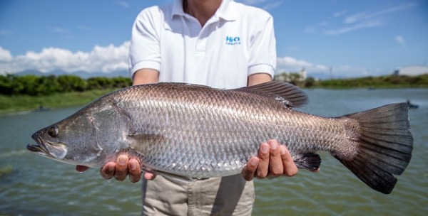 大病初癒、開刀後，如何滋補最省力？魚湯食材選擇更聰明！_img_1