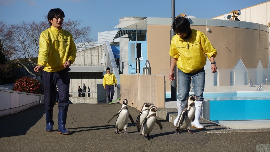 【梁旅珠專欄】搭「志摩之風」朝聖伊勢神宮,到賢島溫泉旅宿一泊二食_img_2