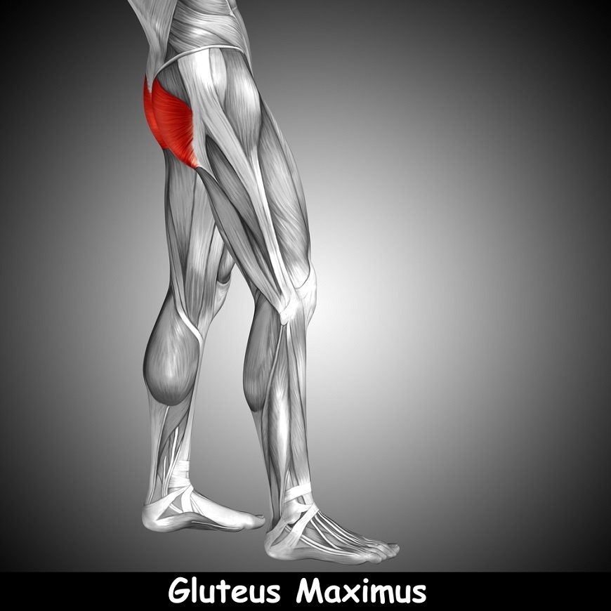 膝蓋不適,原來問題在「臀部」!每日3件事練臀肌,減輕膝壓力_img_1