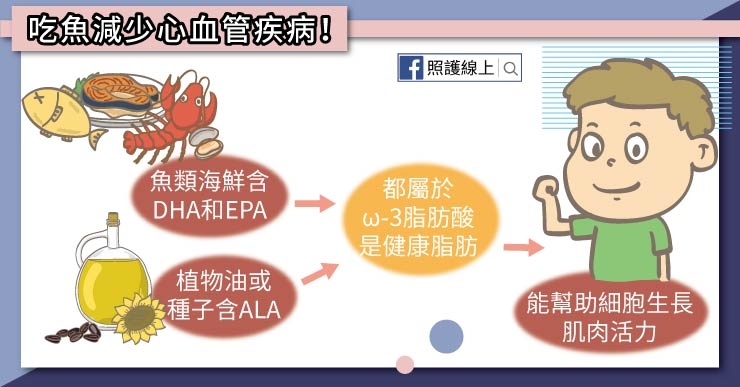 【照護線上】每週吃魚2次,預防心血管疾病!吃魚油有用嗎?_img_1