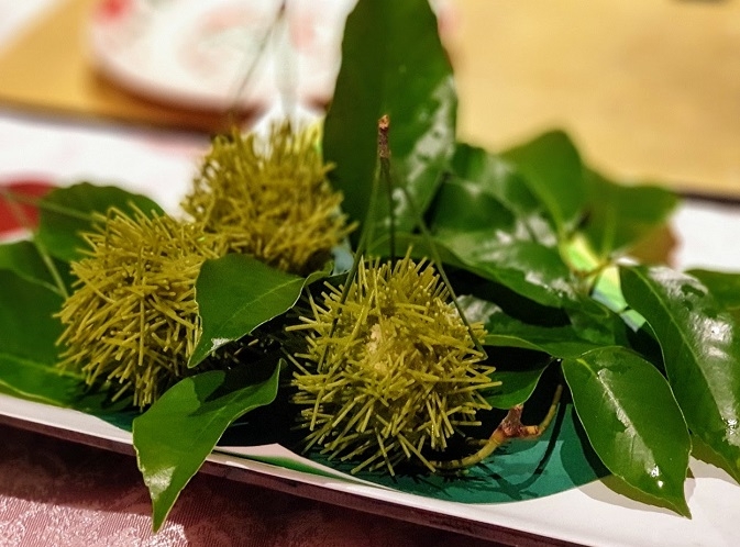 【梁旅珠專欄】去京都，避開人：幽靜寺院內的普茶料理「閑臥庵」_img_5