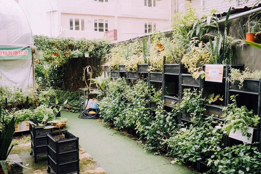 閒置頂樓變菜園,社會企業「樂農生活」雇50+幫退休族圓田園夢_img_1