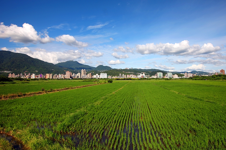 來北投，享慢活！50後的居住哲學：放下、放空、放輕鬆_img_5