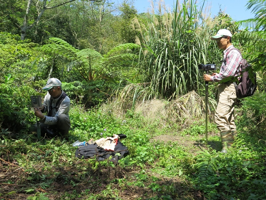 退休金給天地！50歲吳金樹買山林護石虎：大自然比人生命更長 _img_2